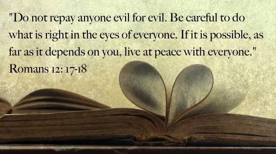cheating verse 2
