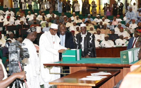 Image result for nigerian budget